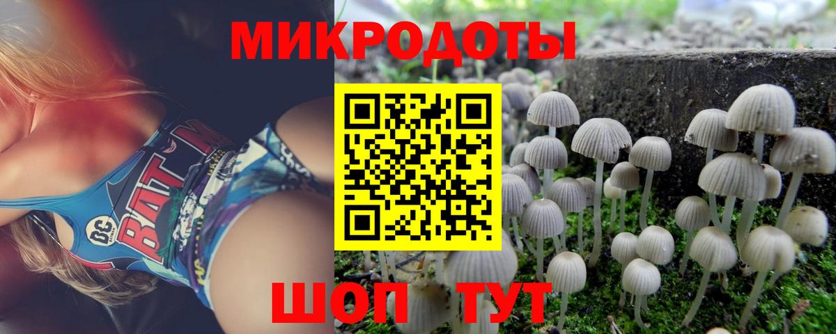 Кунгур  Галлюциногенные грибы прущие грибы  Вход с VPN 