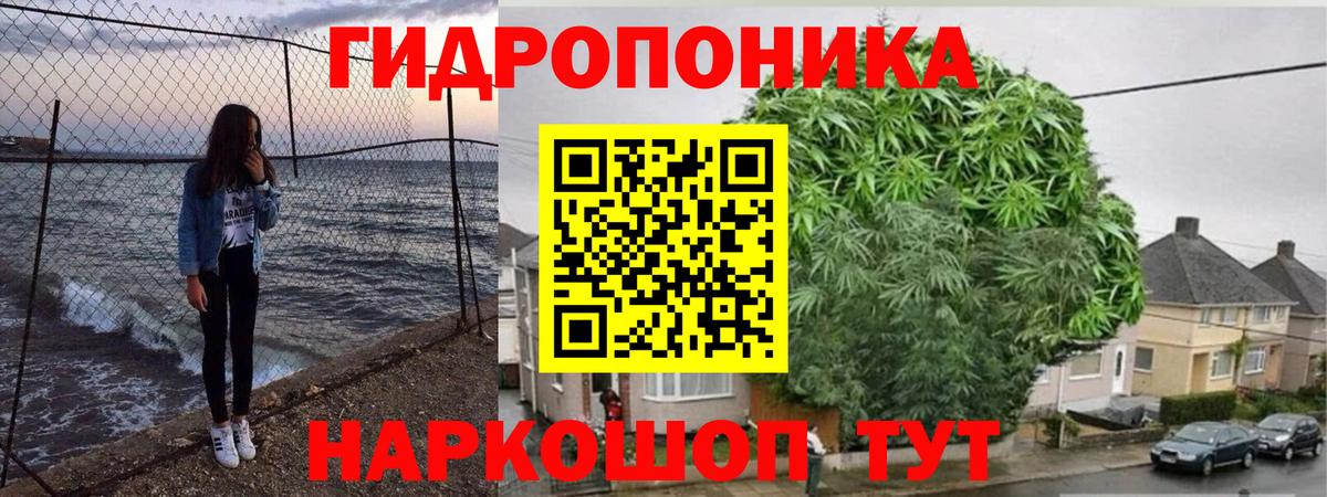 Конопля марихуана Кунгур